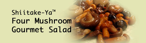 4 mushroom gourmet salad