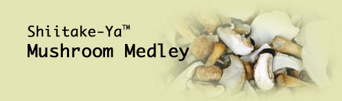 Mushroom Medley